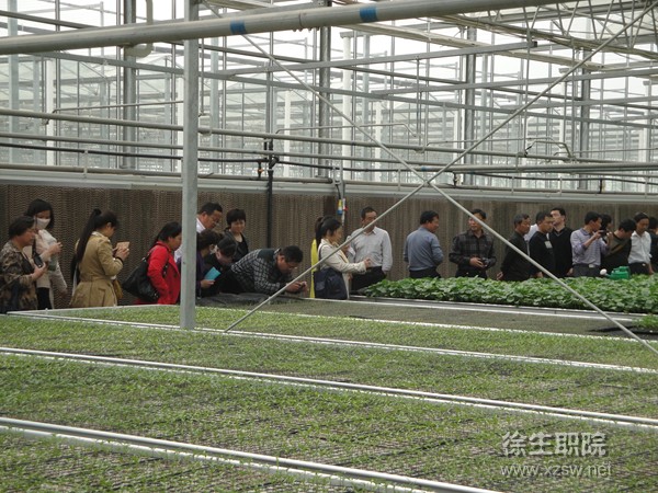 农技推广骨干人才培训班学员在赣榆雅仕农场参观见习现代农业3